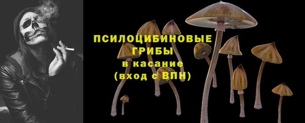 apvp Алзамай