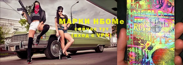 apvp Алзамай
