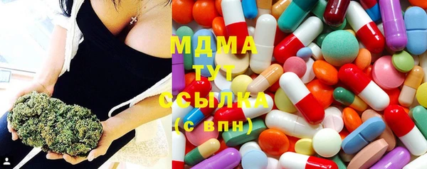 apvp Алзамай